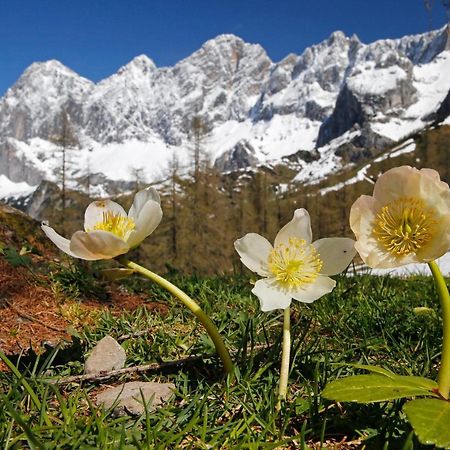 Appartementhaus Finis Ramsau am Dachstein Extérieur photo