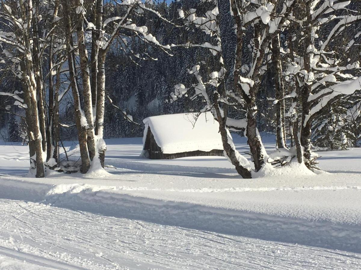 Appartementhaus Finis Ramsau am Dachstein Extérieur photo