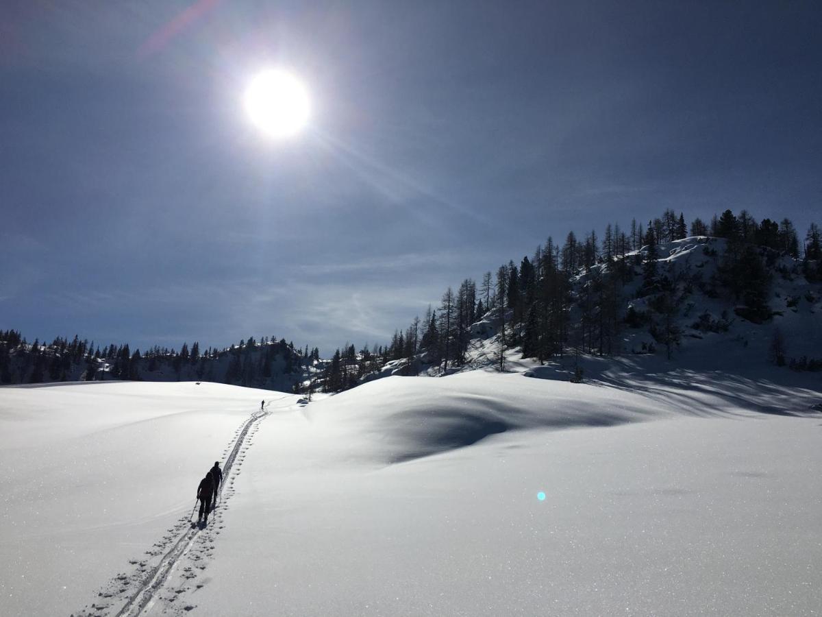 Appartementhaus Finis Ramsau am Dachstein Extérieur photo